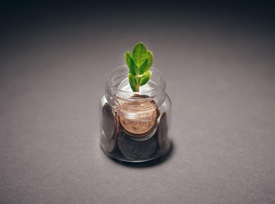 A small plant growing from a jar of coins