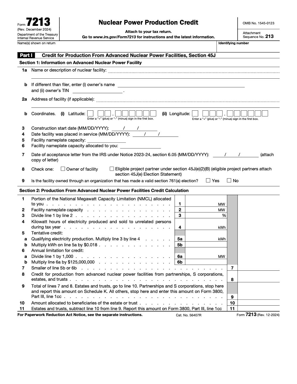 Page 1 of 2 of the official IRS Form 7213 PDF (Rev. December 2024): Part I