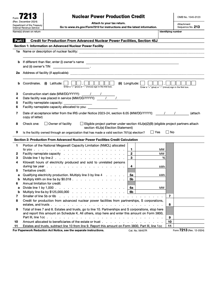 Page 1 of 2 of the official IRS Form 7213 PDF (Rev. December 2024): Part I